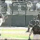 Bird gets pitched